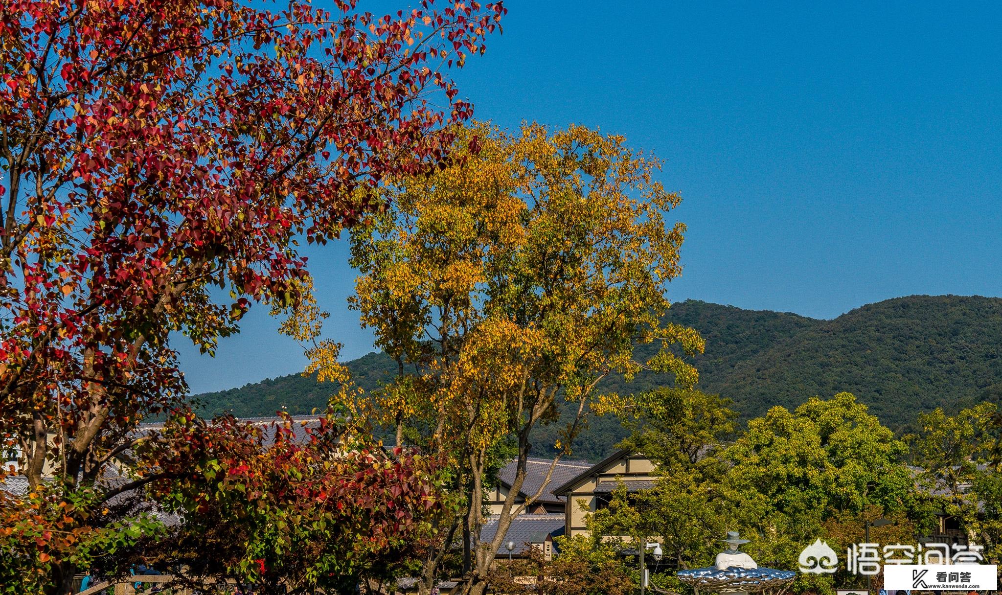 12月南方适合旅游的地方有哪些？