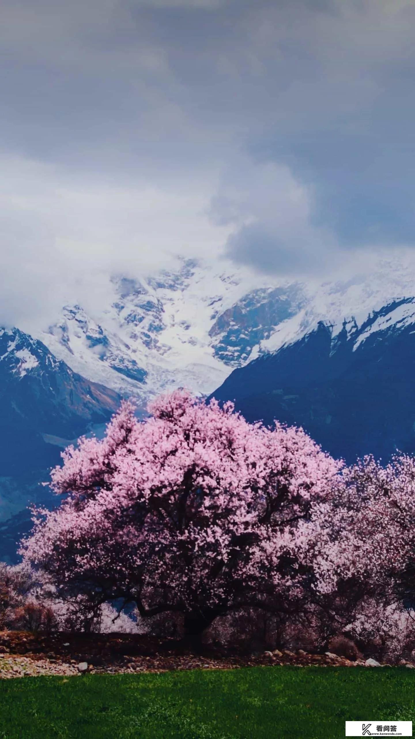 有没有又皮又搞笑的句子分享？