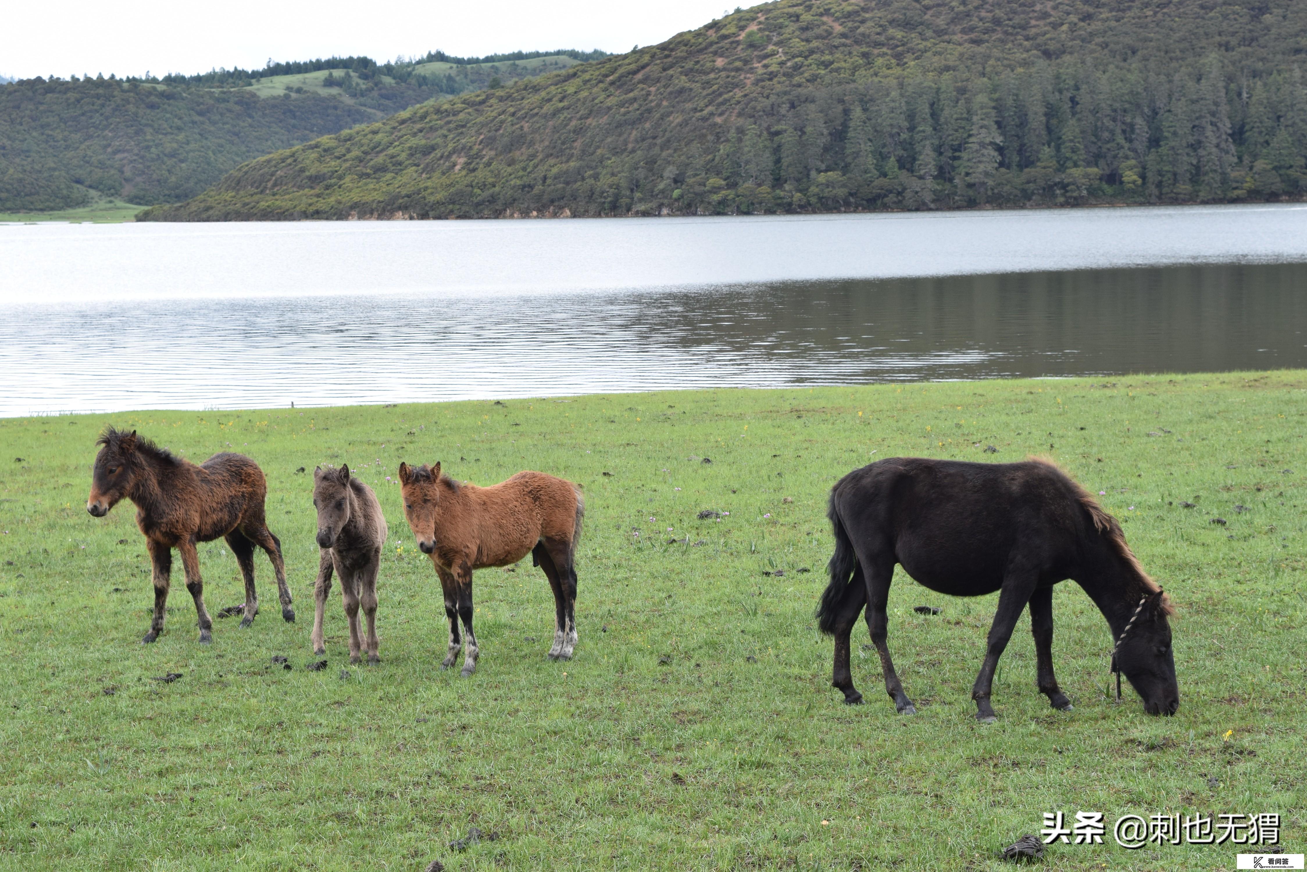 8月还能去外地旅游吗？