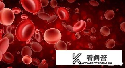 常规验血的报告中，哪一项可以看出有没有贫血？