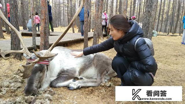 有什么地方安静点风景好，适合一个人旅游散心的？