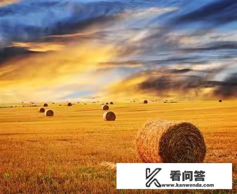 你去过哪些地方,都给你留下了什么印象? 你去过哪些地方,都给你留下了什么印象?