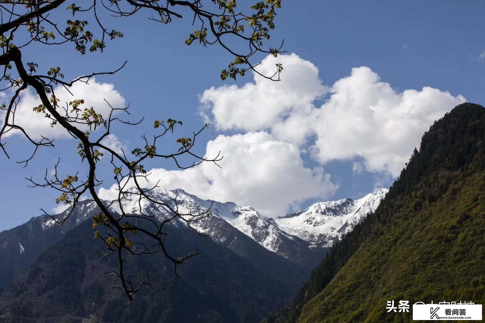 在代理记账公司学得多还是在企业学得多？