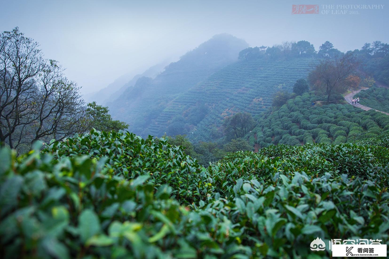 杭州景点排名前十？