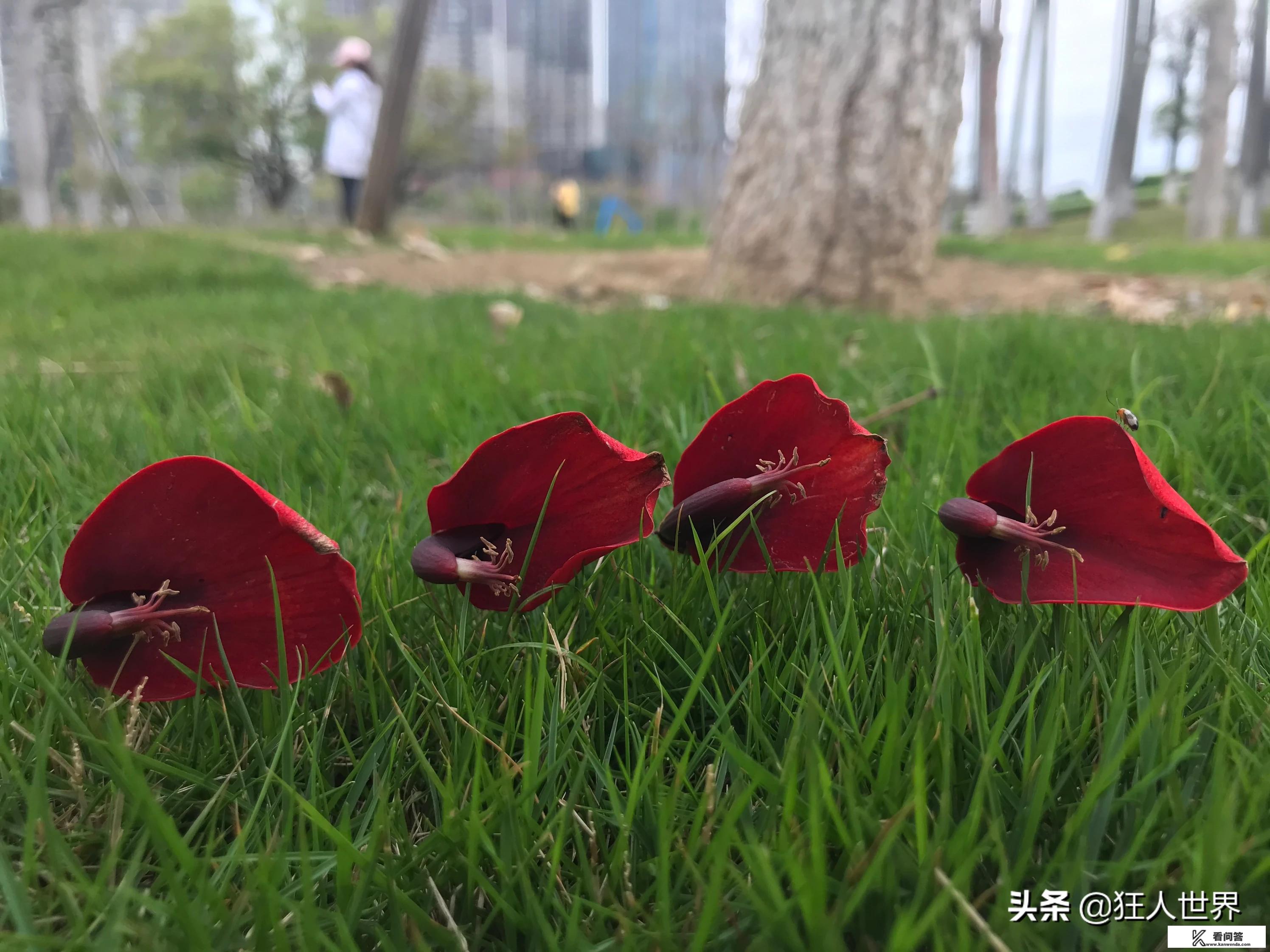 游戏开发的前景如何？