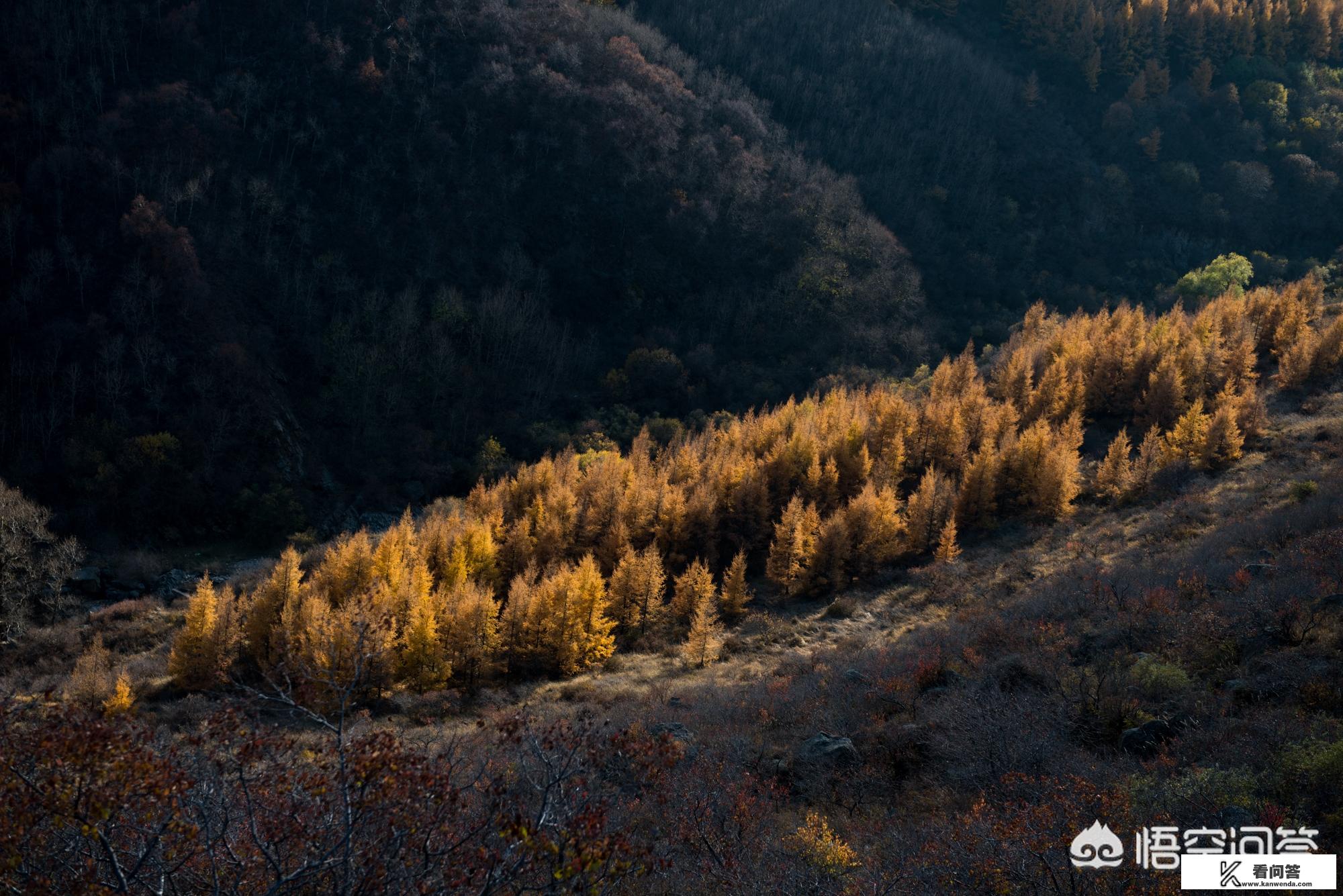乘坐公共交通工具旅游的优缺点？