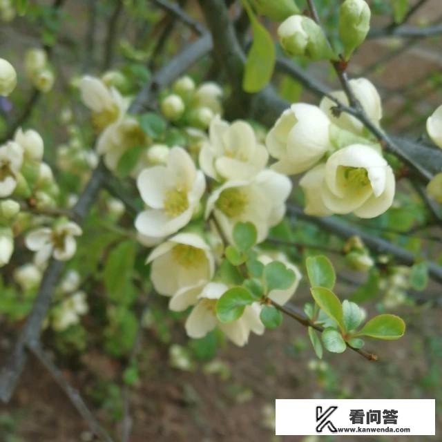 有些景点去了都是失望，为什么很多人还是热衷旅游？