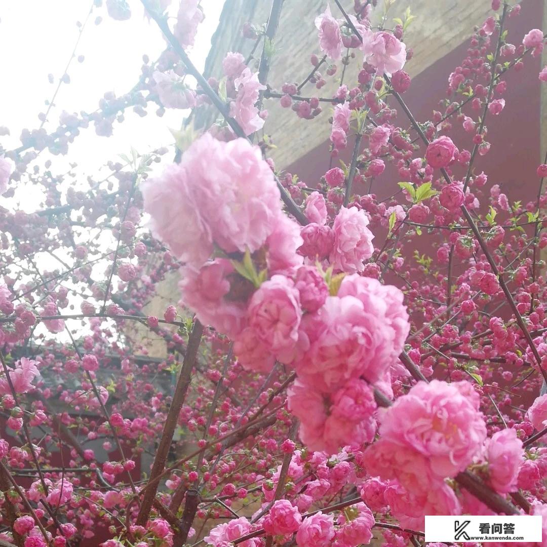 有些景点去了都是失望，为什么很多人还是热衷旅游？