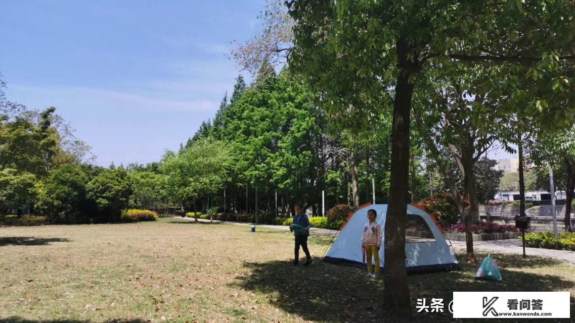 不满被开除怎么报复公司？