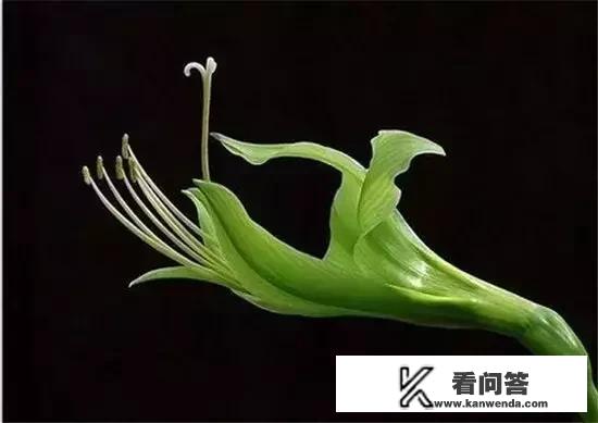 要去日本出差了请问要注意点什么？