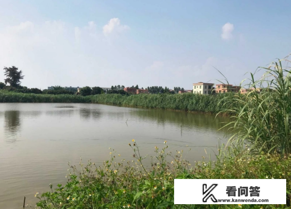 沙鱼塘村旅游攻略? 沙鱼塘村旅游攻略?