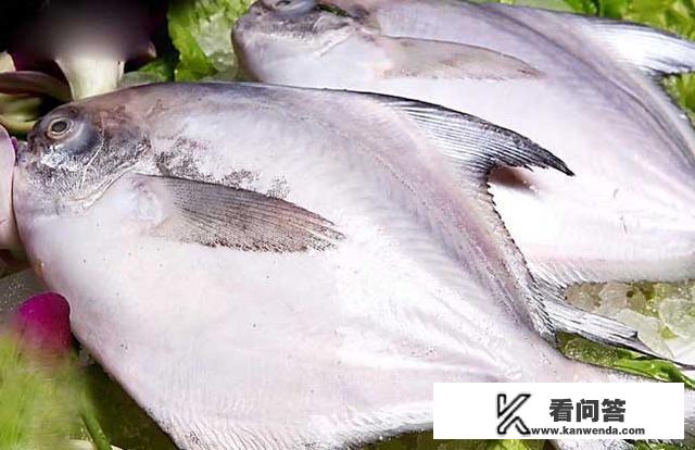 海鱼的种类有哪些? 海鱼的种类有哪些?