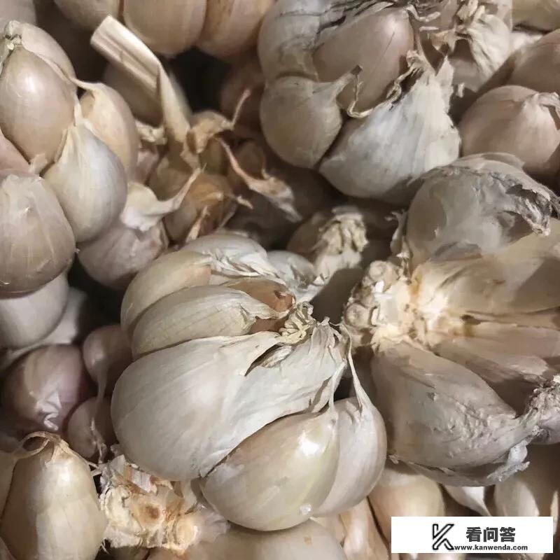 2023年大蒜估计是什么价位？