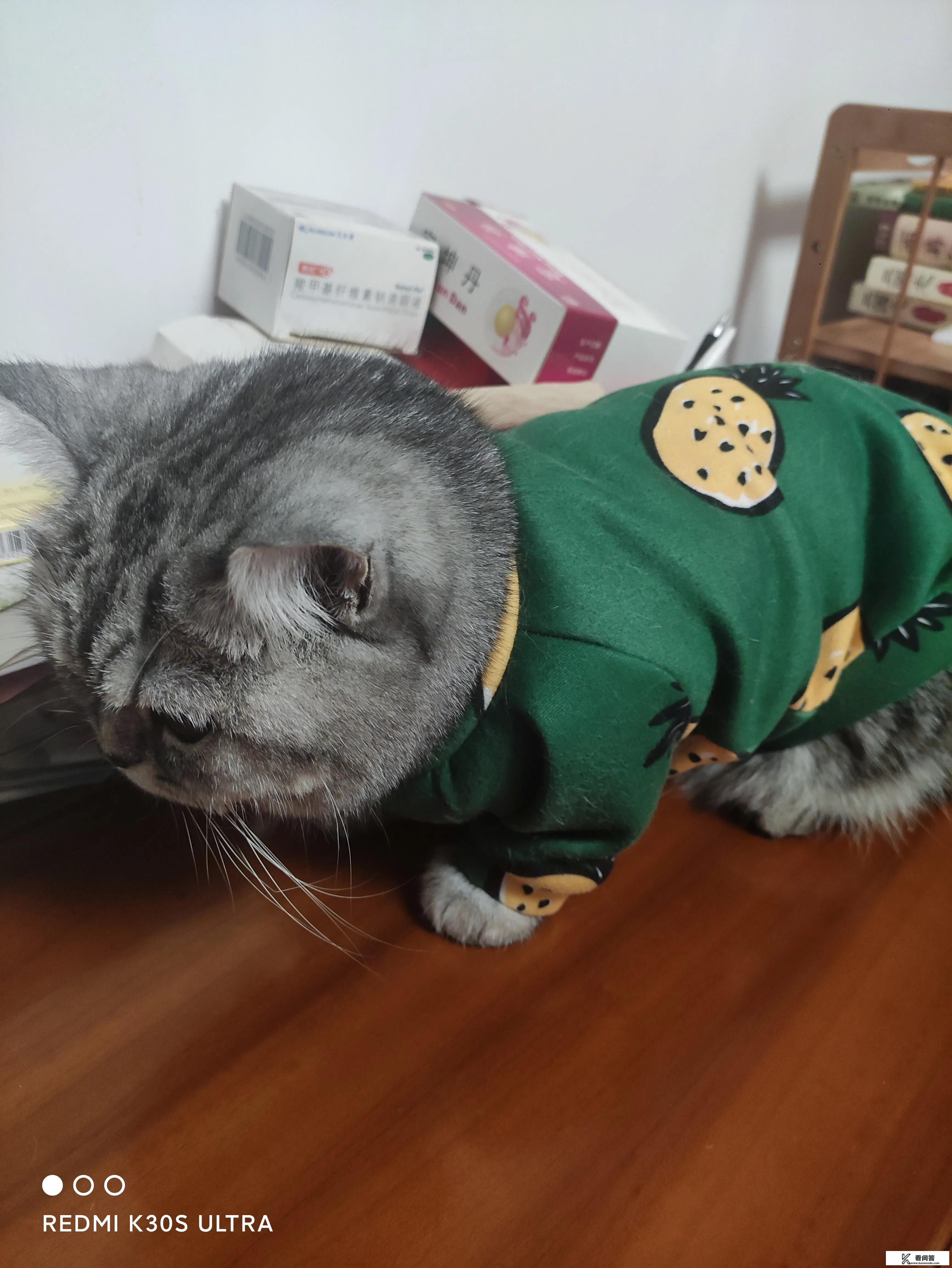 猫拉到床上怎么处理？