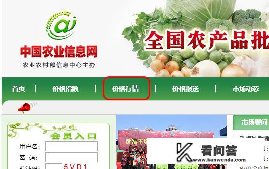 哪里可以查询全国各级市场的农产品价格？
