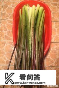 芋叶怎么形容？