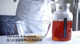 红茶菌制作方法？
