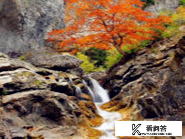 别人都去旅游了只有自己没去旅游的说说？