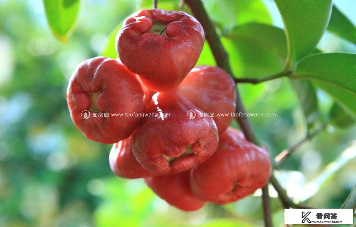 4月去海南旅游怎么样？