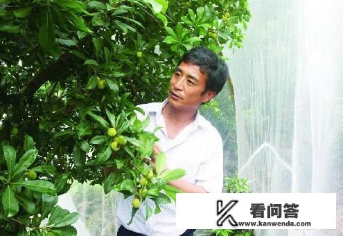 杨梅里的虫子可以吃吗，杨梅里的虫子吃了会怎样？