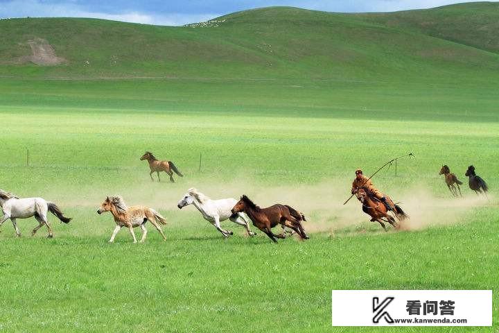 买一匹马拉着我全国旅游可行吗？