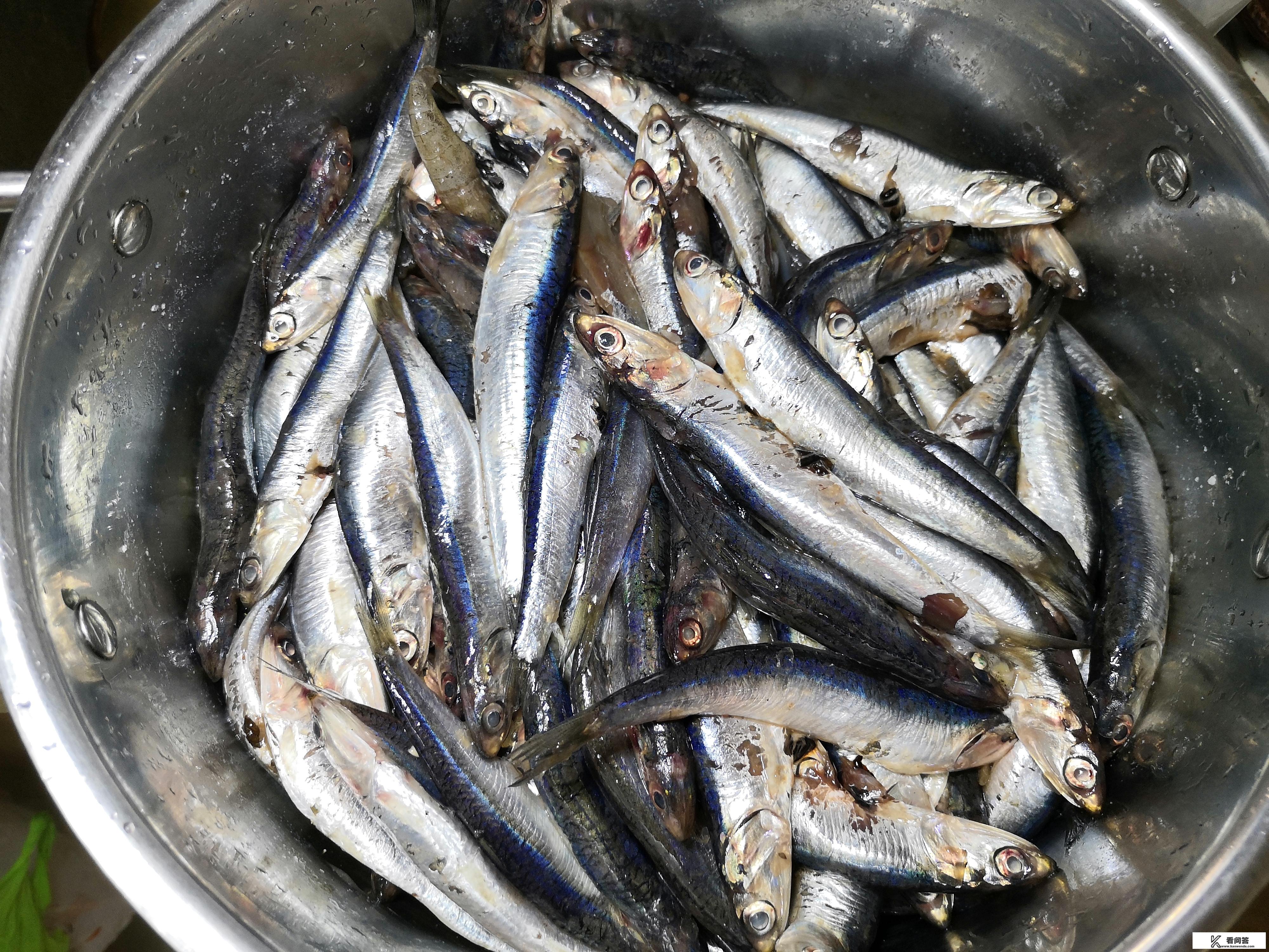 晒鱼干的做法？