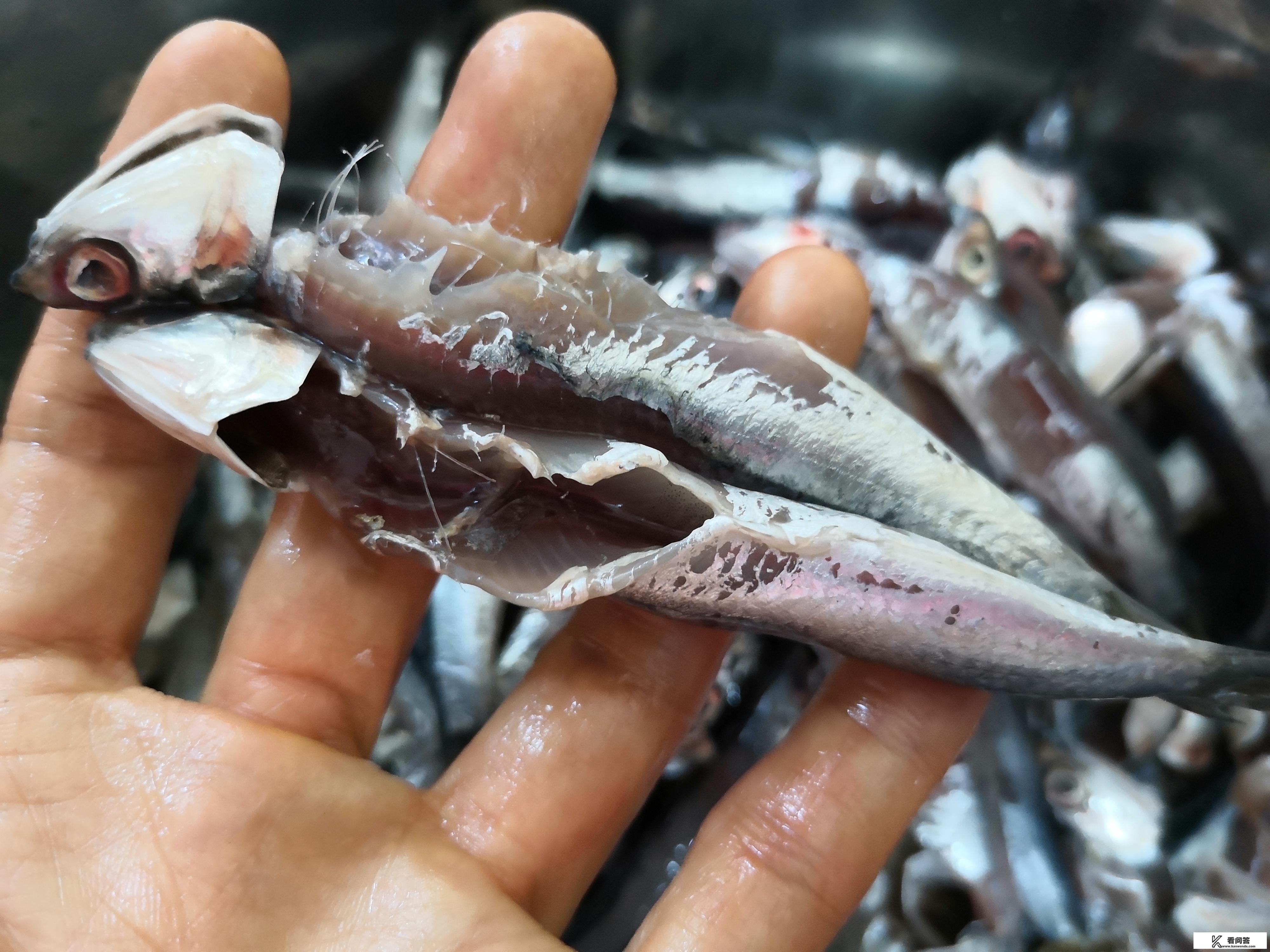 晒鱼干的做法？