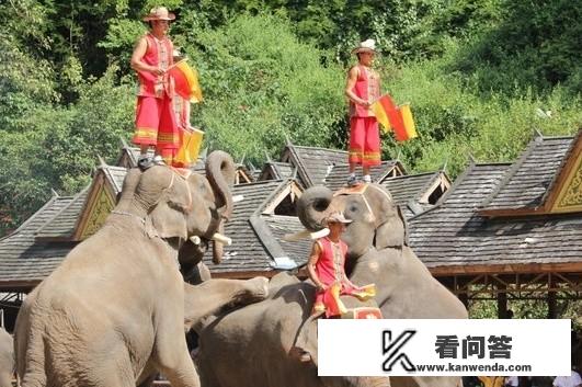 我感觉西双版纳不好玩，为什么名气这么大？