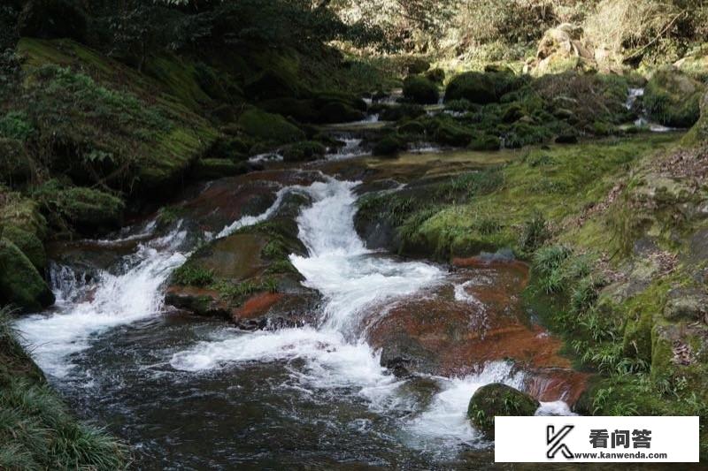 青浦元荡桥游玩攻略？