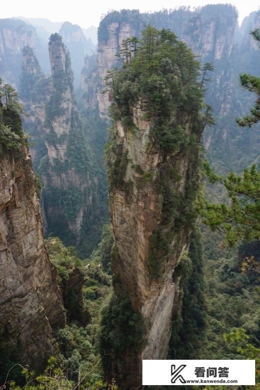 青浦元荡桥游玩攻略？