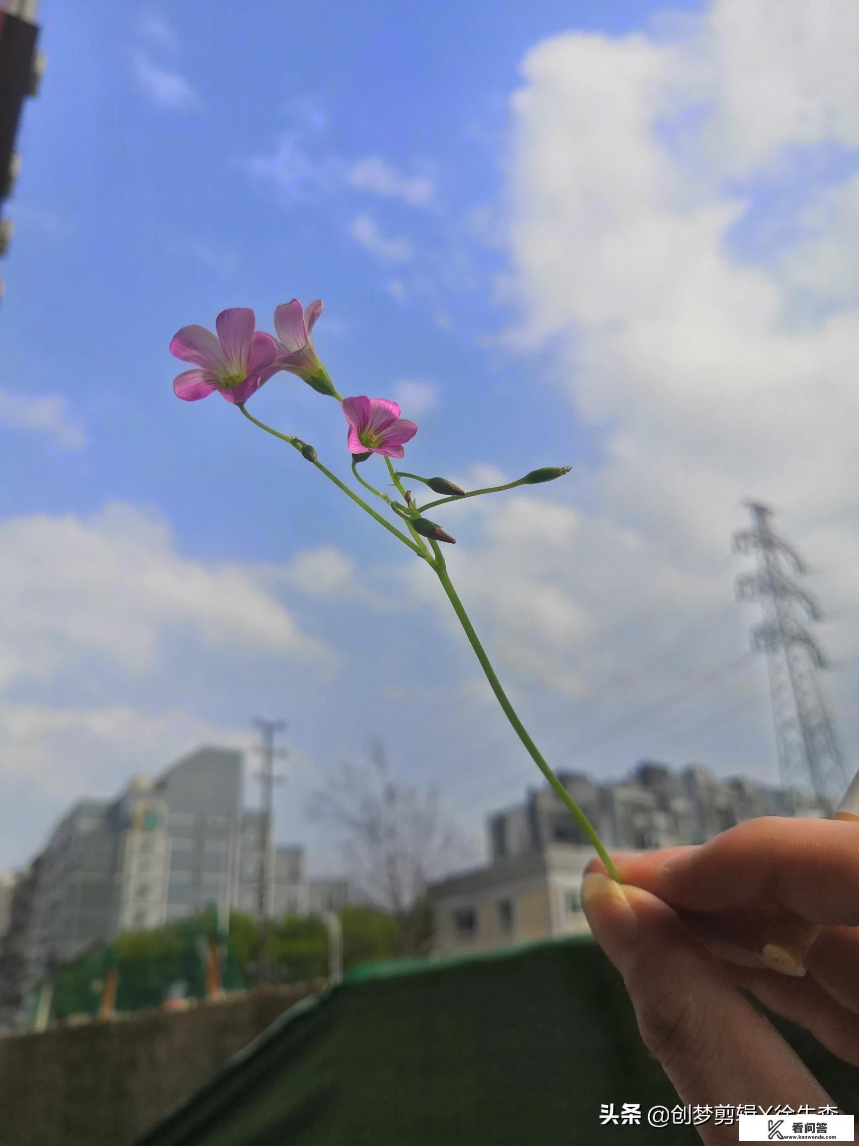 请问，我很想写小说，但就是想不起来情节，我该怎么办？