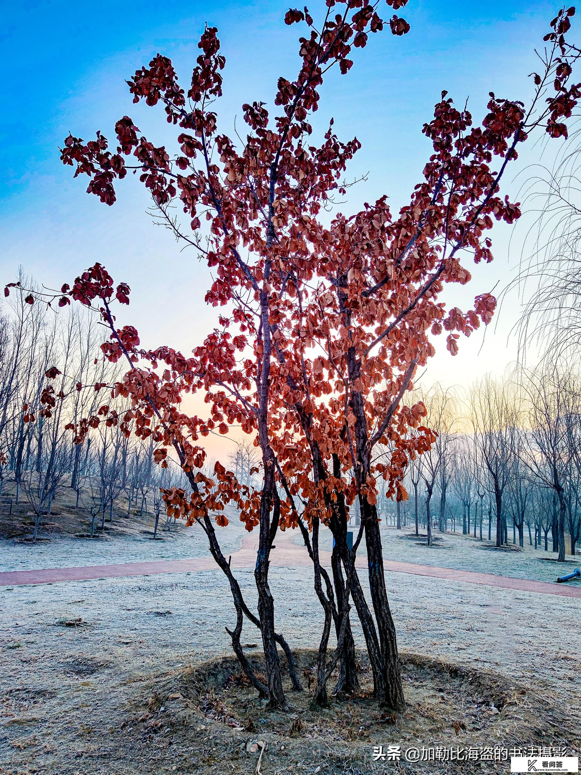 桂林旅游要爬山吗？