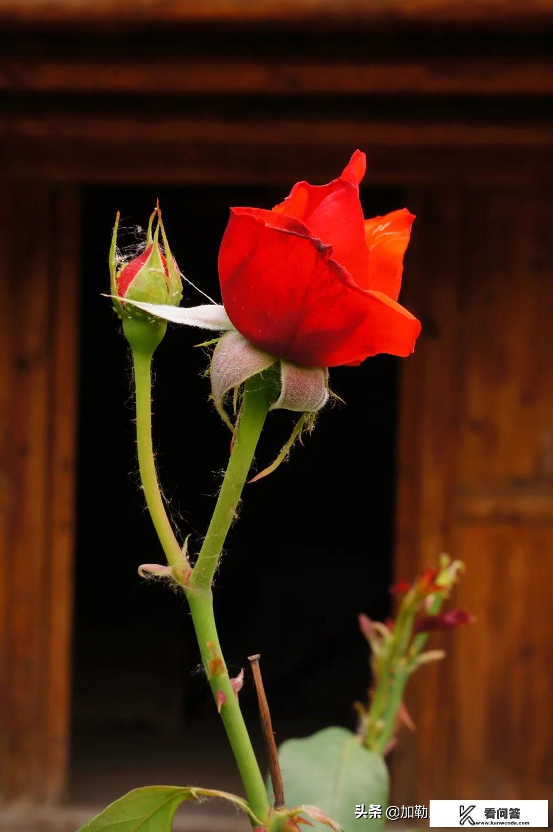 桂林旅游要爬山吗？