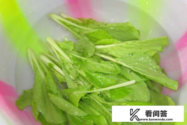 土豆粉的家常三种做法？