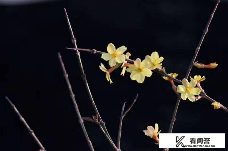 网络游戏对青少年是利大于弊还是弊大于利? 网络游戏对青少年是利大于弊还是弊大于利?