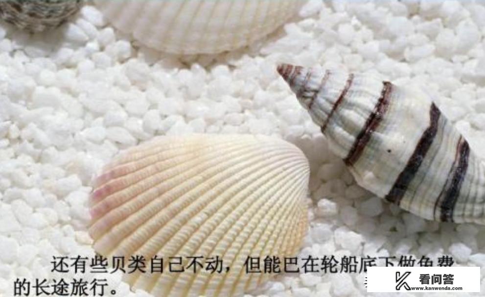 成巴高速附近旅游景点? 成巴高速附近旅游景点?