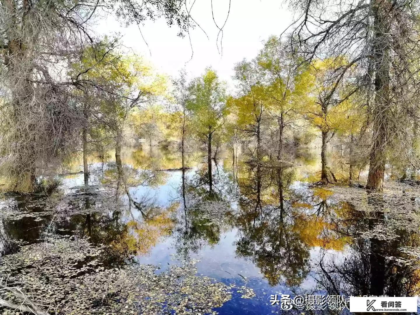外出旅游经常会出现便秘怎么办？
