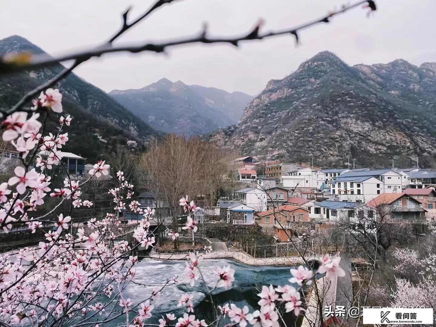 旅游那一年开始火的？