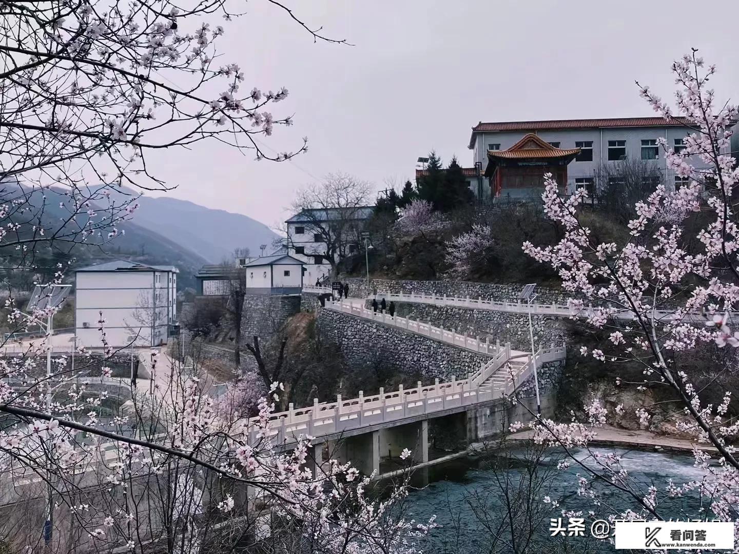 旅游那一年开始火的？