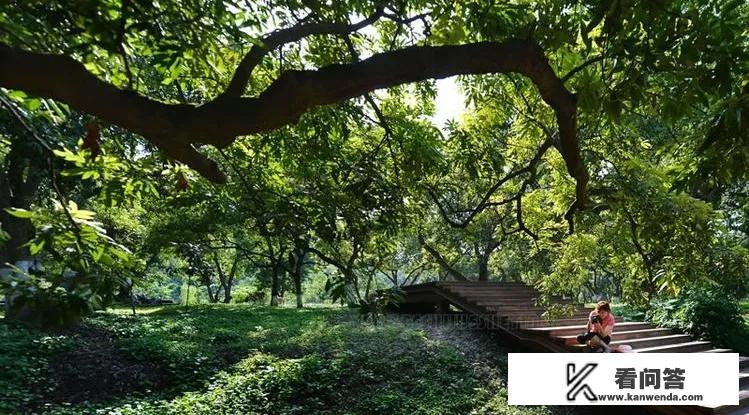 阳江公园旅游景点？