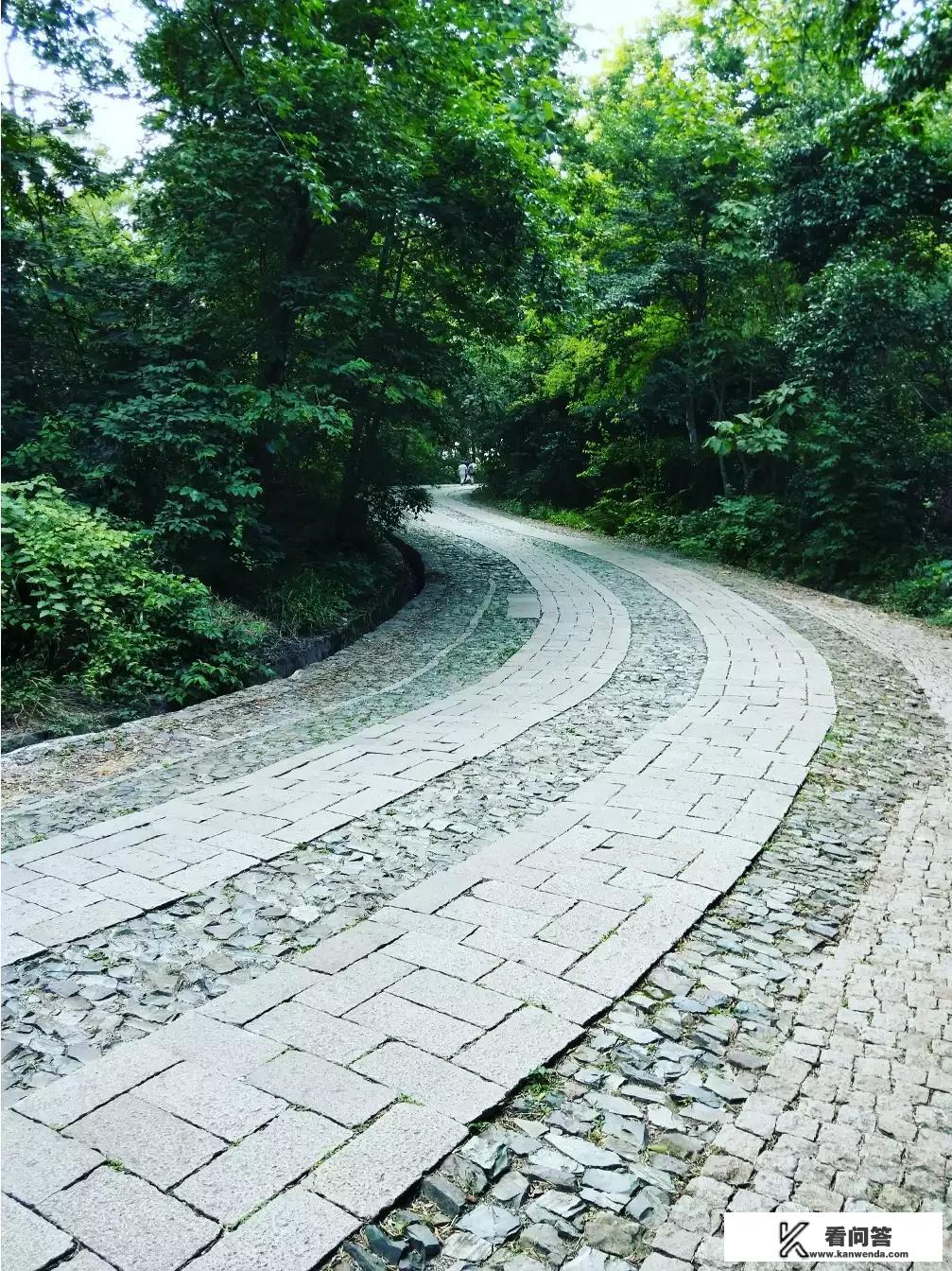 骑自行车旅游，适合买什么类型的自行车？