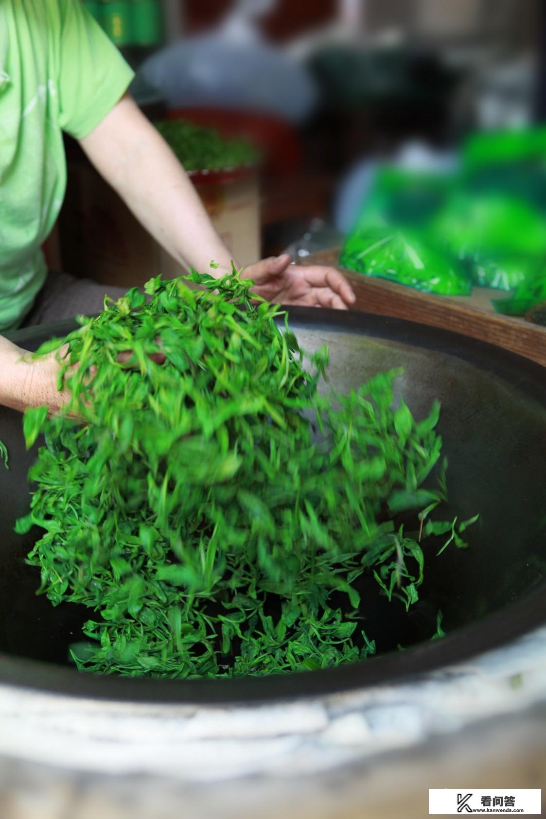 上海出发邮轮国内旅游攻略？