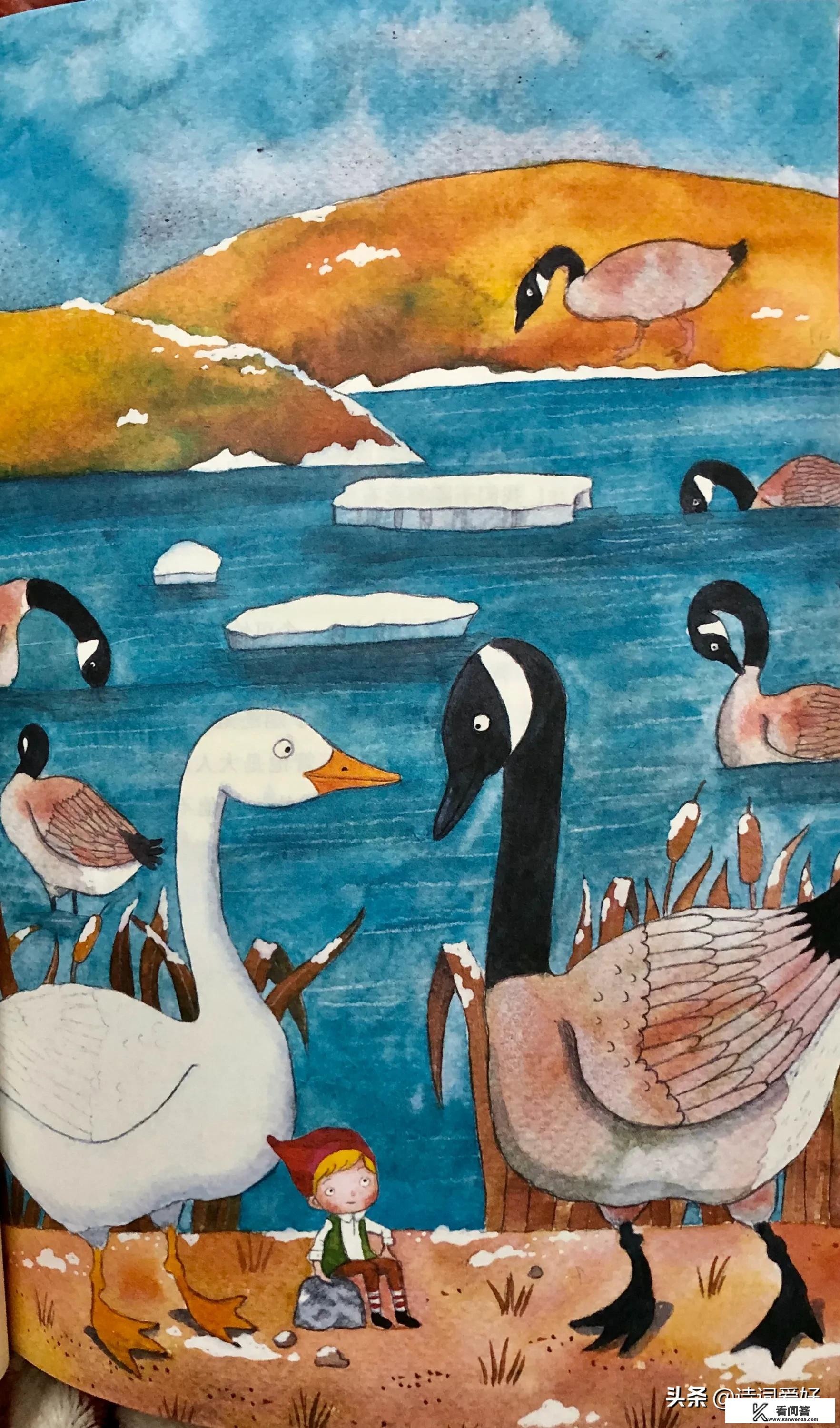 《尼尔斯骑鹅旅行记》一年一度的鹤之舞表演大会,为什么会让动物们向往? 《尼尔斯骑鹅旅行记》一年一度的鹤之舞表演大会,为什么会让动物们向往?