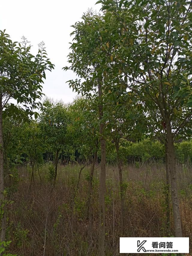 农家乐旅游的优点是什么？