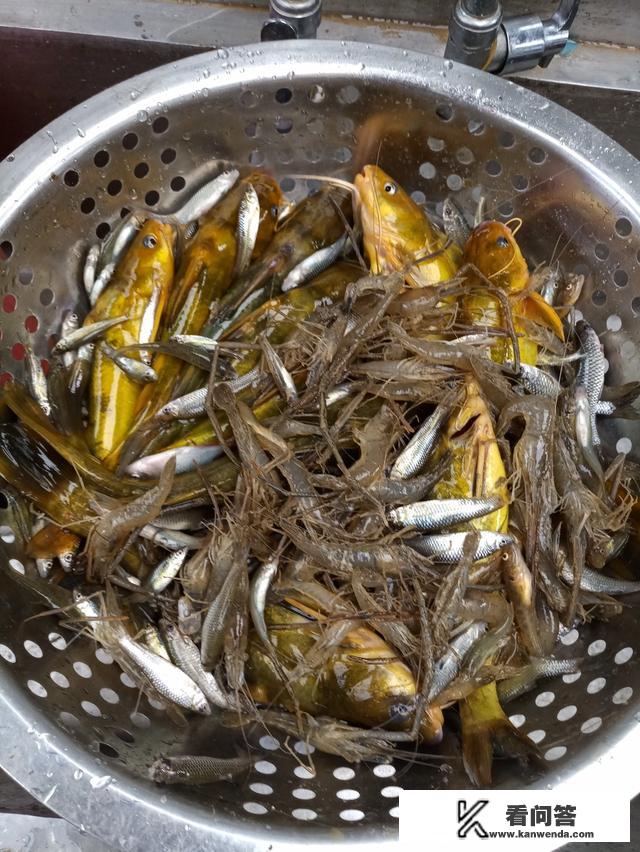 农家乐旅游的优点是什么？