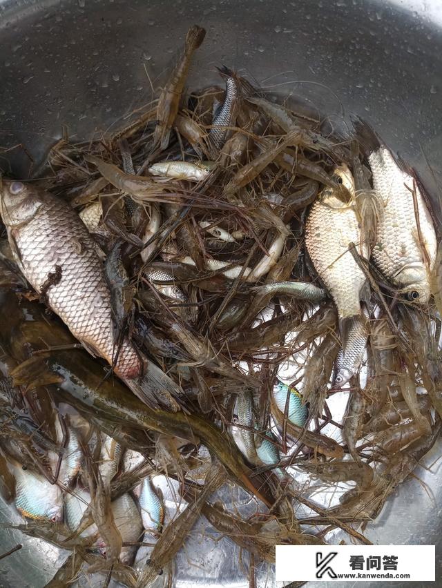 农家乐旅游的优点是什么？