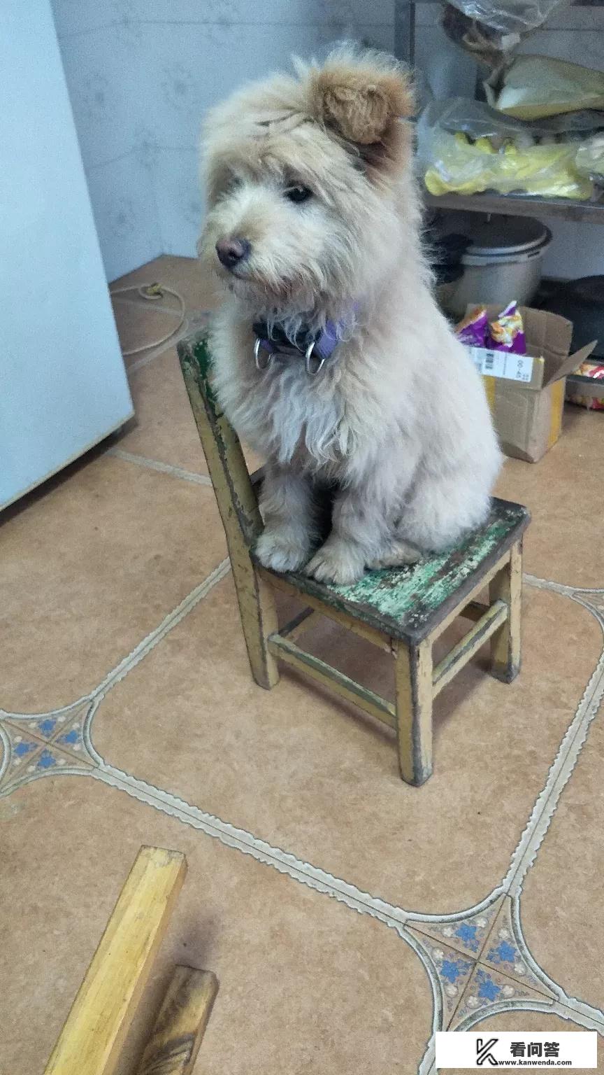 男生用过于可爱的手机主题是不是心理有问题? 男生用过于可爱的手机主题是不是心理有问题?