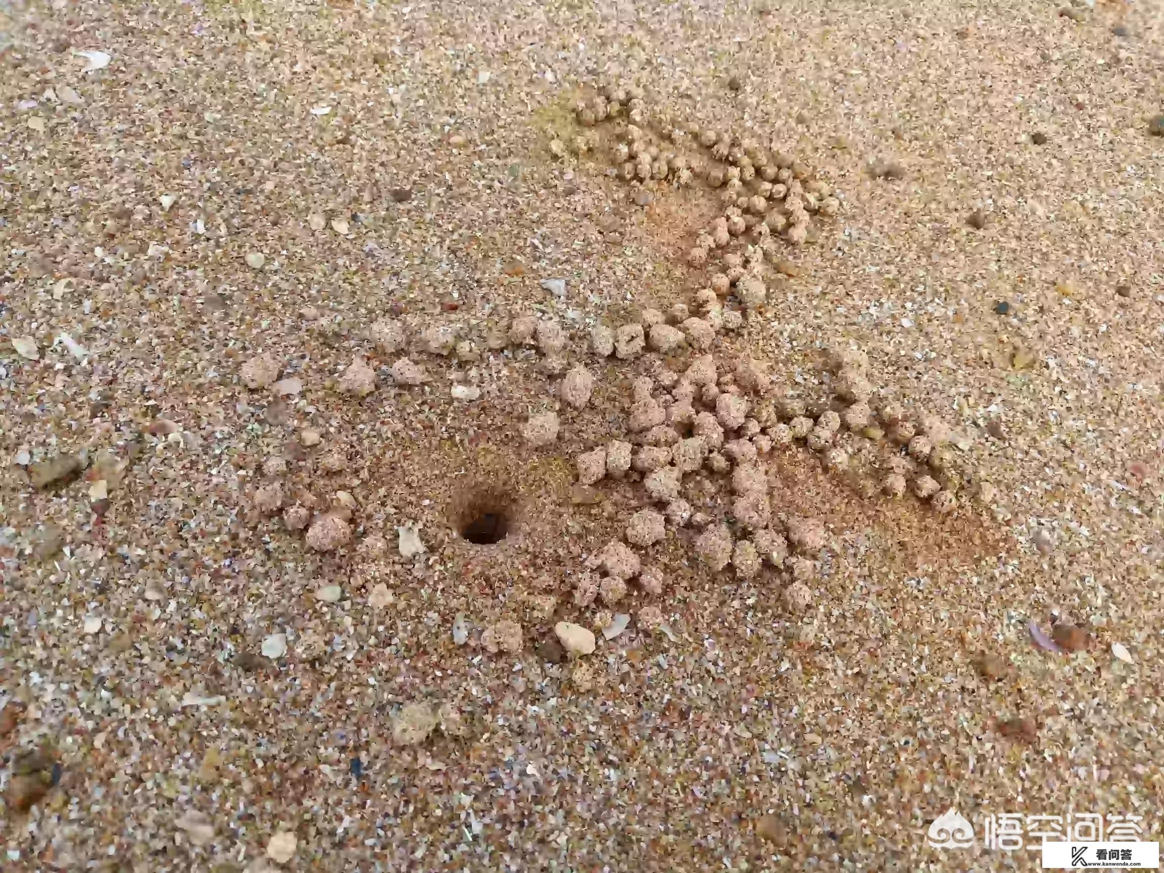 呼伦贝尔跑旅游运管抓吗? 呼伦贝尔跑旅游运管抓吗?