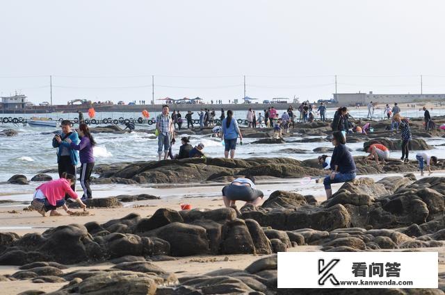 呼伦贝尔跑旅游运管抓吗? 呼伦贝尔跑旅游运管抓吗?