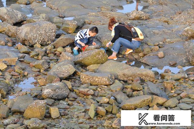 呼伦贝尔跑旅游运管抓吗? 呼伦贝尔跑旅游运管抓吗?